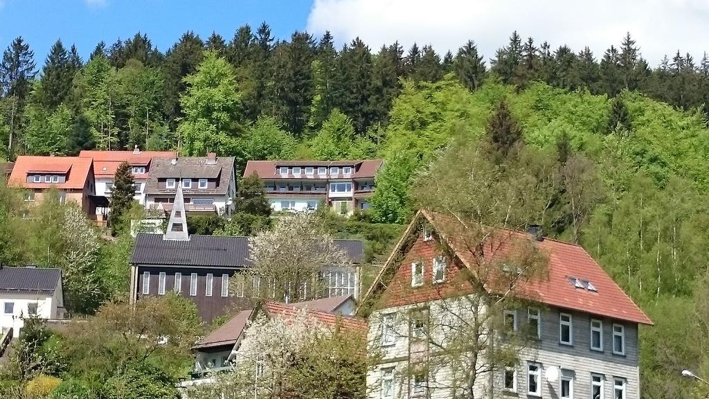 Pension Talblick Bad Grund Exterior photo