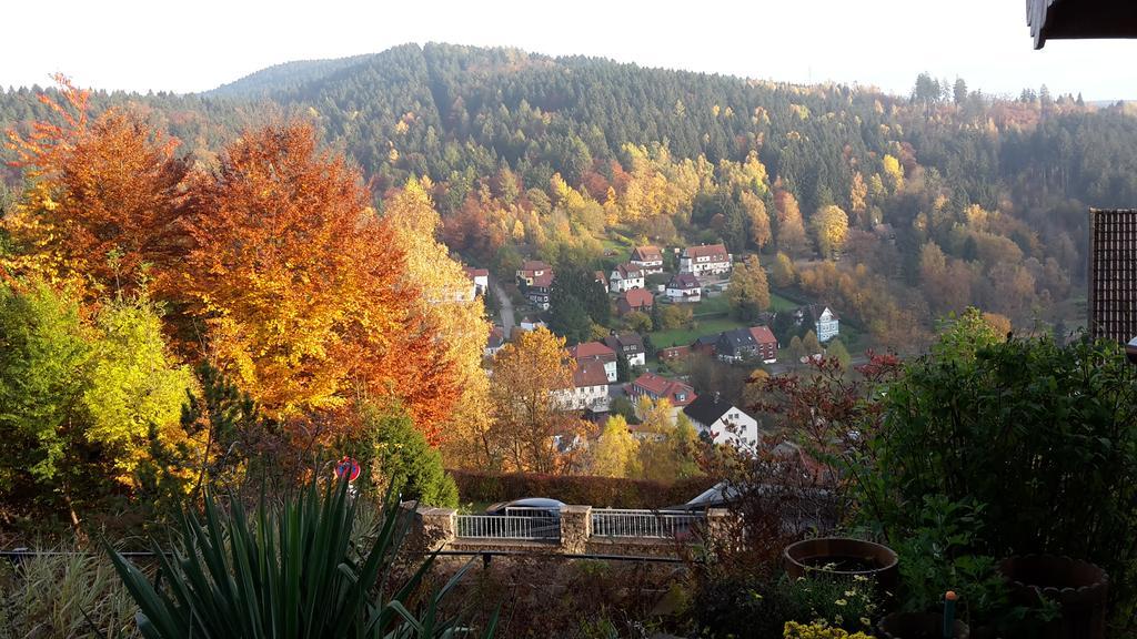 Pension Talblick Bad Grund Exterior photo