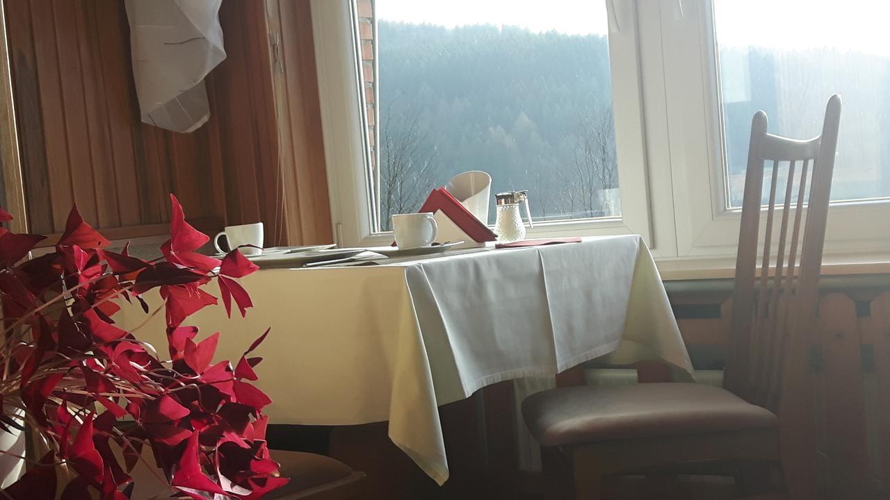 Pension Talblick Bad Grund Exterior photo